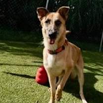 Thumbnail photo of Tater #1