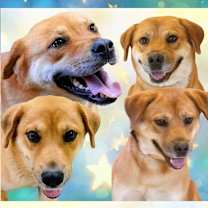 Thumbnail photo of Sugar #1