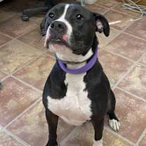 Thumbnail photo of Kane #1