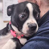 Thumbnail photo of Socks #2