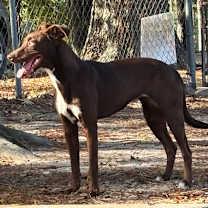 Thumbnail photo of Anne #3