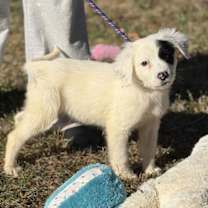 Thumbnail photo of Red #2