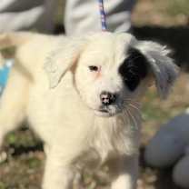 Thumbnail photo of Red #3