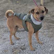 Thumbnail photo of Mr. Curls #1