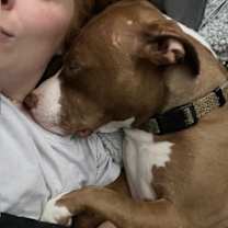 Thumbnail photo of Freya #2