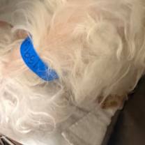 Thumbnail photo of Static #2