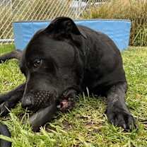 Thumbnail photo of KYLE #2