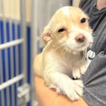 Thumbnail photo of Sally Brown #2