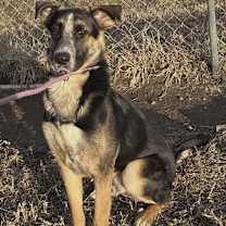 Thumbnail photo of Riggs #2