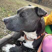 Thumbnail photo of ELLIOTT #4