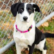 Thumbnail photo of Luca #1