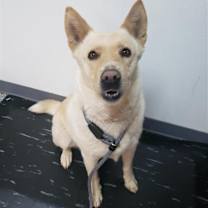 Thumbnail photo of Devereux #3