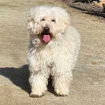 Thumbnail photo of Ibadat #2