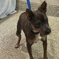 Thumbnail photo of Bradley* #1