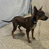 Thumbnail photo of Bradley* #3