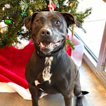 Thumbnail photo of Karma #1