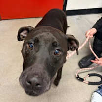 Thumbnail photo of Karma #3