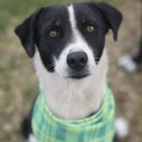 Thumbnail photo of Noelle #1