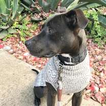 Thumbnail photo of Grizelda #4