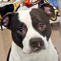 Thumbnail photo of Baker  #1