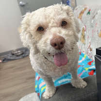 Thumbnail photo of Parker #1