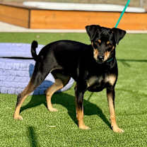 Thumbnail photo of Glory #3