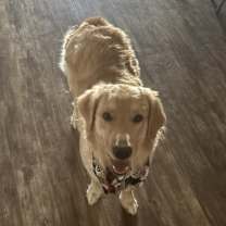 Thumbnail photo of Winnie #2