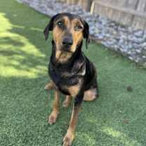 Thumbnail photo of Millie #4