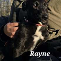 Thumbnail photo of Claudia #3