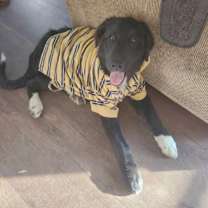 Thumbnail photo of Wyatt #2