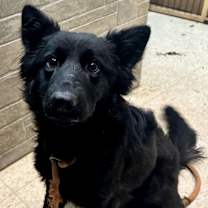 Thumbnail photo of Val #2