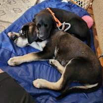 Thumbnail photo of Cabo #3