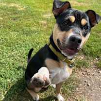 Thumbnail photo of Meg #4