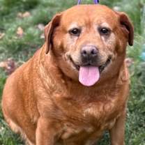 Thumbnail photo of Holly #2