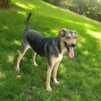 Thumbnail photo of Barnabas #3