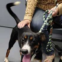 Thumbnail photo of Mia #3