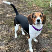 Thumbnail photo of Gabe #1