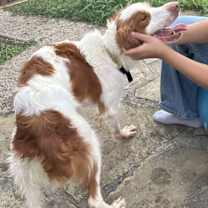 Thumbnail photo of TX/Gussie #2