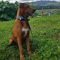 Thumbnail photo of Maximo #2