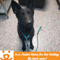 Thumbnail photo of Frostvale #1