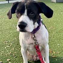 Thumbnail photo of Rena #1