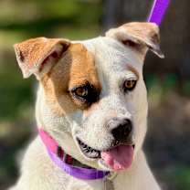 Thumbnail photo of Jewel #3