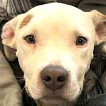 Thumbnail photo of ZERO #1