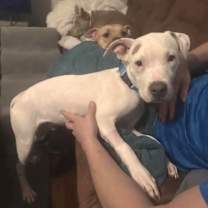 Thumbnail photo of ZERO #4