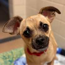 Thumbnail photo of Nike #1