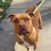 Thumbnail photo of Gumbo #1