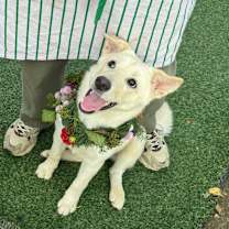 Thumbnail photo of Lisa #3