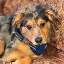 Thumbnail photo of Bravo #1