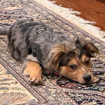 Thumbnail photo of Bravo #2