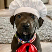 Thumbnail photo of Pierogi #1